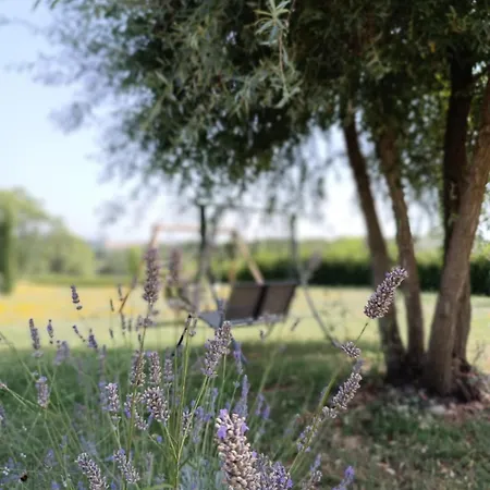 Dolce Farnetta En-suite & Yoga Montecastrilli