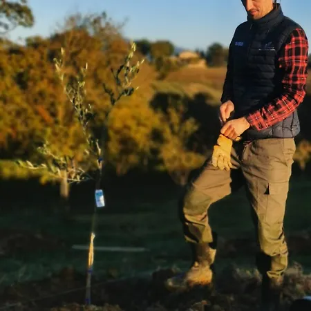 Dolce Farnetta En-suite Spa & Yoga 3* Montecastrilli