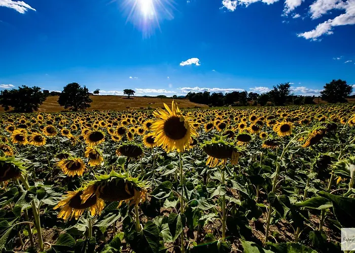 Dolce Farnetta En-suite Spa & Yoga 3* Montecastrilli