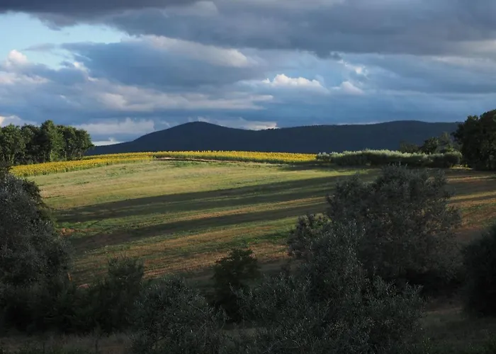 Farnetta Royal Bed & Breakfast Montecastrilli