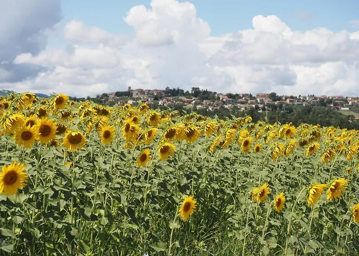 Farnetta Royal Bed & Breakfast