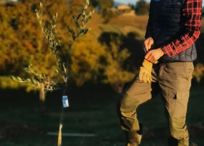 Dolce Farnetta En-suite Spa & Yoga 3* Montecastrilli